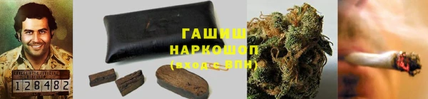 крисы Наволоки