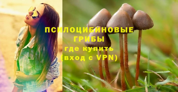 хмурый Надым