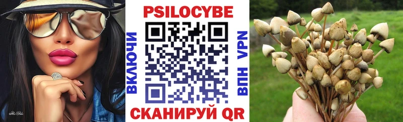 Купить закладки  Каневская  Галлюциногенные грибы Cubensis 